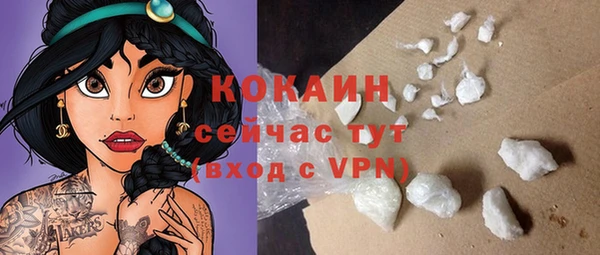 mdpv Новозыбков