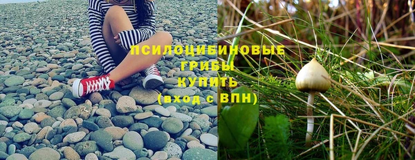 mdpv Новозыбков